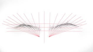 ابروی رویایی را اول روی کاغذ تصور کن، بعد روی پوست خلقش کن